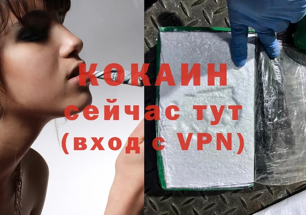 стаф Абинск