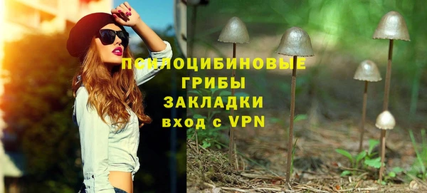 Альфа ПВП Алзамай