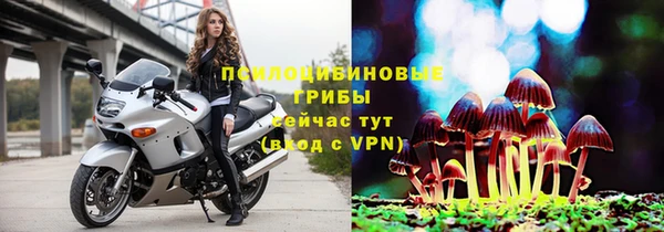 стаф Абинск